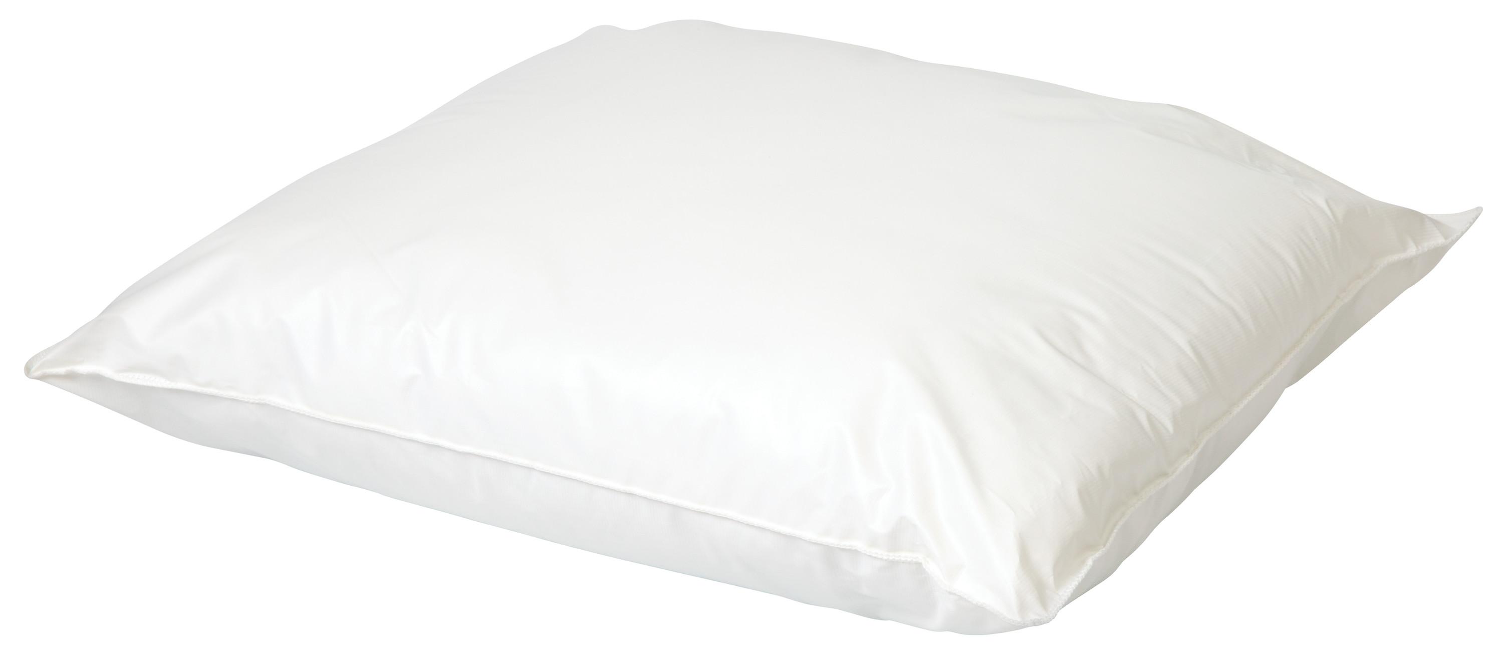 Direct Supply® Pillow, Cotton/Polyester Cover, 20"W x 26"L, 100% Polyester Fiberfill, Case of 12, Color: White