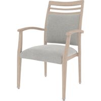 Skyland Dining Chair