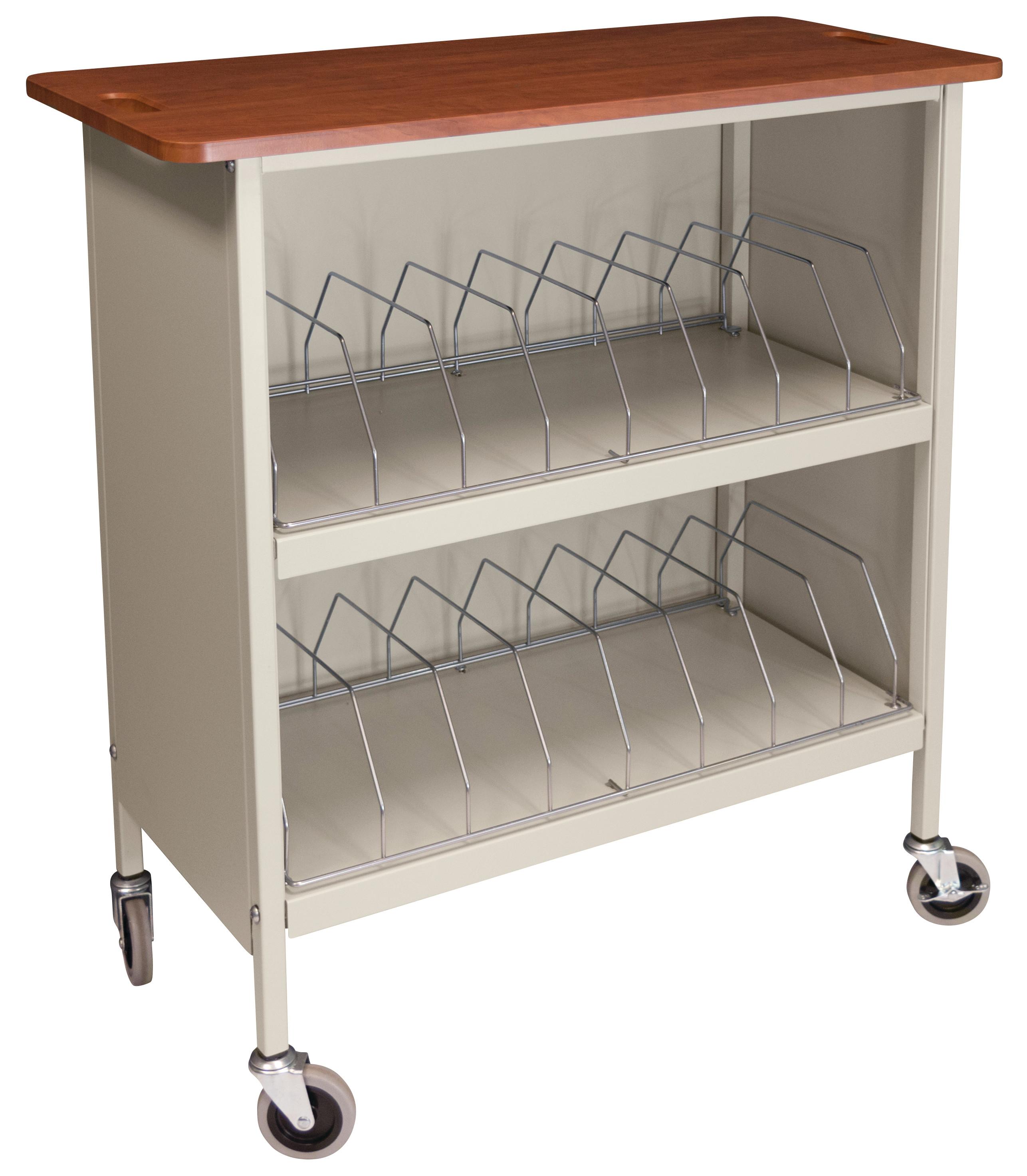 Horizontal Cabinet Chart Rack - 20 Binder Capacity - Beige (4KF18 ...