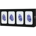 Glove Box Dispenser - Quad - Divided