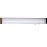 Overbed Light, 2 Position, LPF, 2ft White, Pull Chain, No Night light