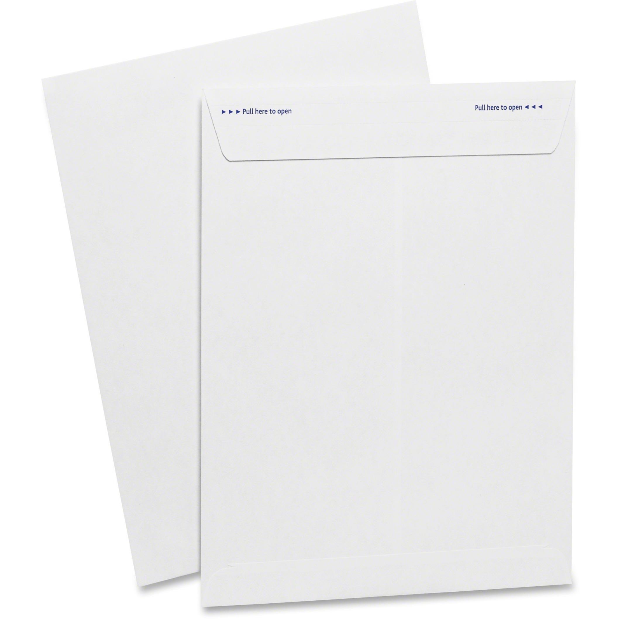 Fastrip Catalog Envelope, Side Seam, 9"x12", 100/BX, WE