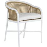HAVANA ARM CHAIR w/ Standard Cushion Set B Grade Fabric