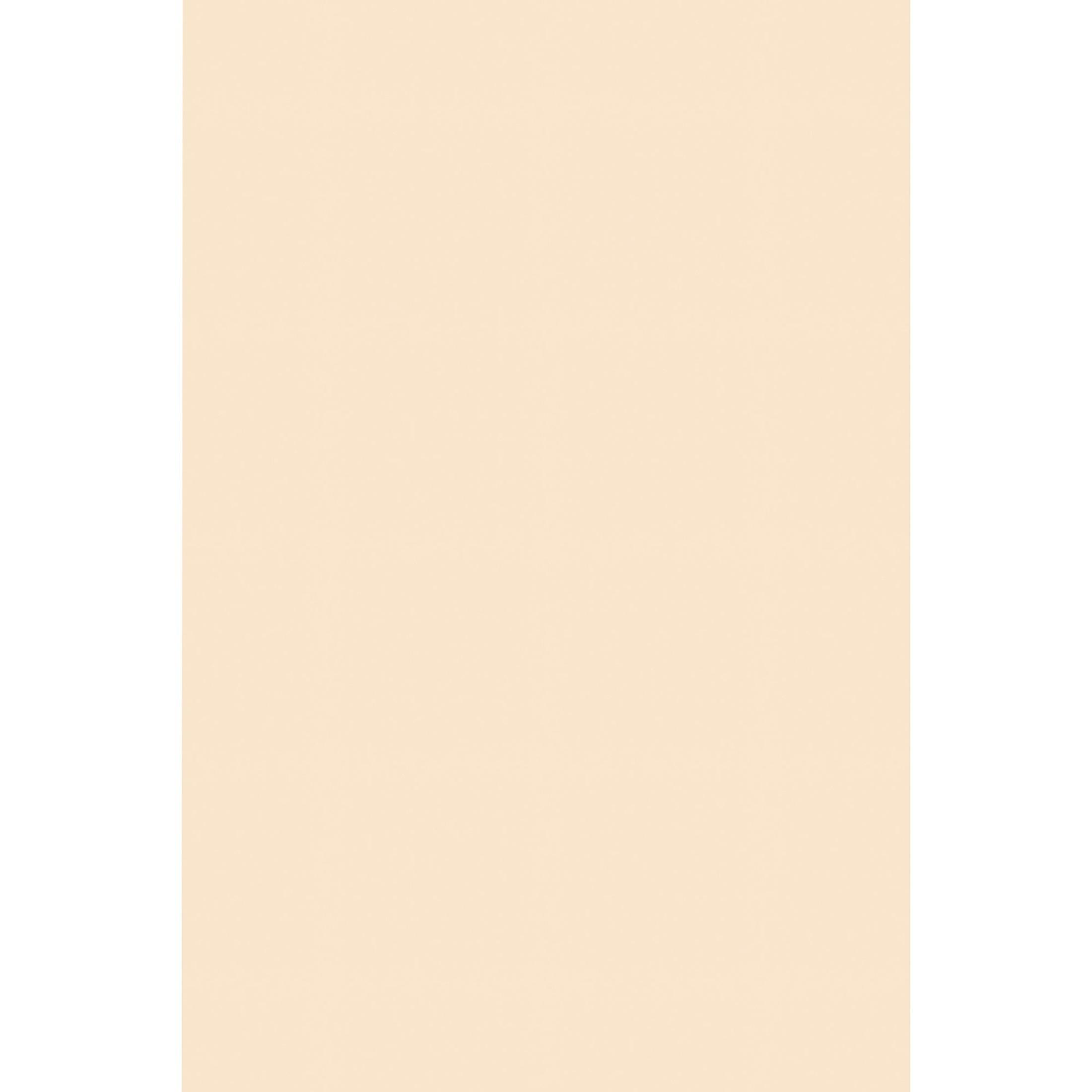 Tagboard, Heavyweight, 24"x36", 100SH/PK, Manila