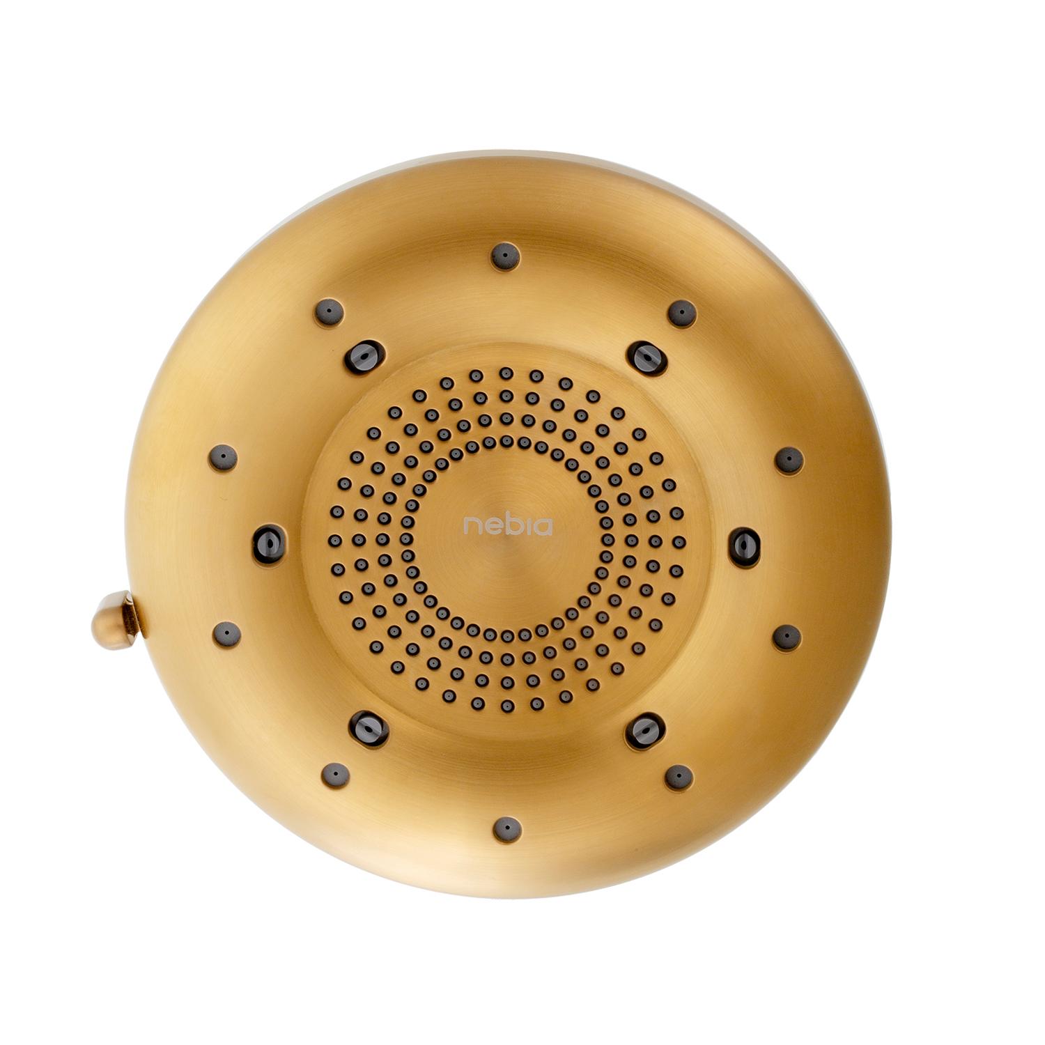 Brondell Nebia Corre Four-Function Fixed Shower Head, Brushed Gold