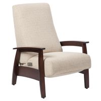 Glen Ellyn Power Recliner