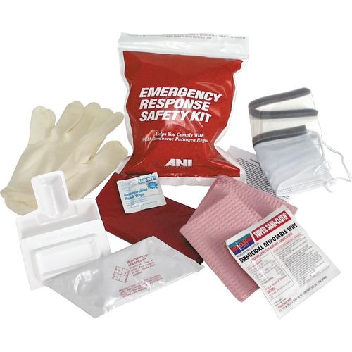 Small Blood Clean Up Kit, 6/cs (04043)