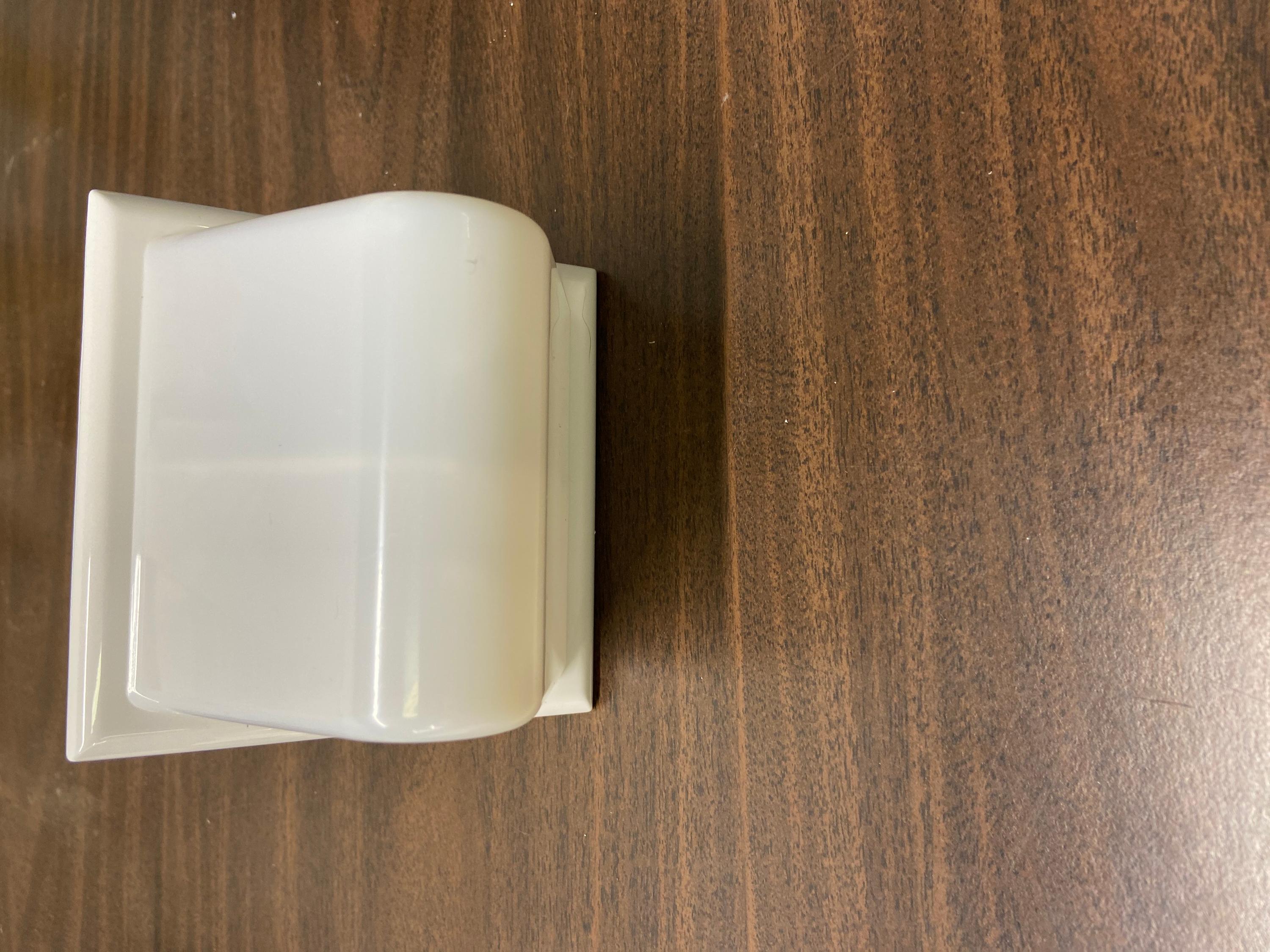 Dome Light - 2 Lamp