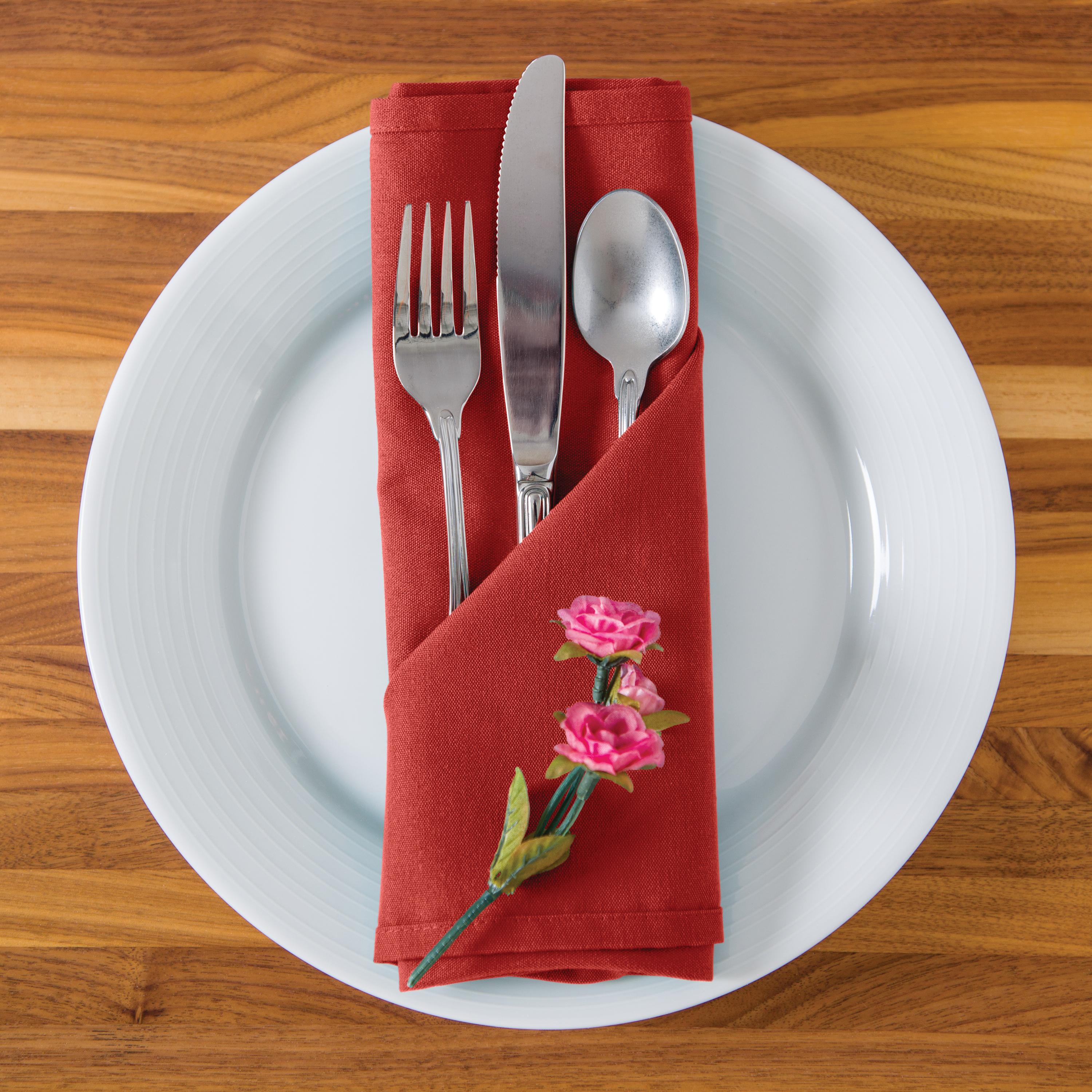 Direct Supply® Textiles Cloth Napkin, 21"W x 21"L, Colored, Case of 25 - Color: Rust