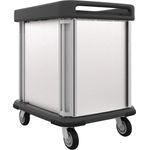 Dinex TQ Supreme Meal Delivery Cart, 2 Trays, 1 Door Pass-Through, 10-Tray Capacity, Stainless