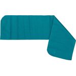 Replacement Direct Supply® Premium Privacy Skirt for 700lb. Shower Chair, Mayan Teal, for chairs purchased after 1/1/19