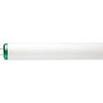 24in Linear Fluorescent Bulb, F20T12/CwithALTO