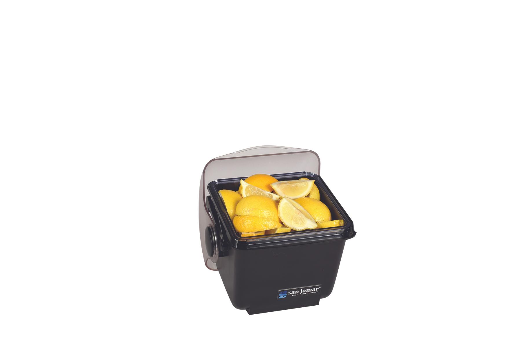 Mini Dome (1) 2 Qt Deep Tray