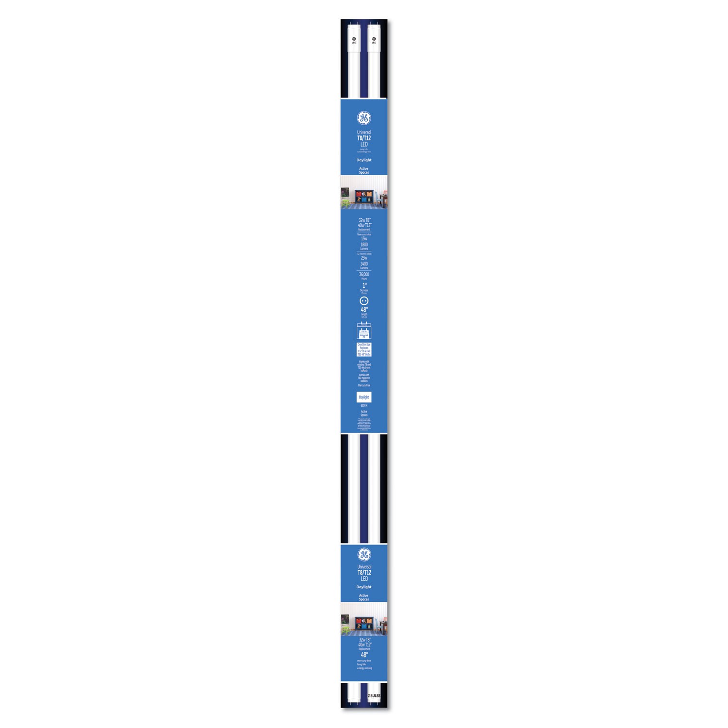 GE 48" T8/T12, 40 W, T8 Tube, Daylight, 6/Carton