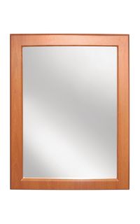 Scottsdale Mirror