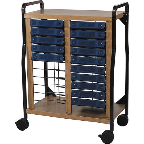Standard Mobile Chart Rack, Flat Storage, Holds 20 Binders (10982 ...
