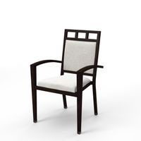 Scottsdale Activity Chair