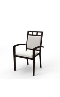 Scottsdale Activity Chair