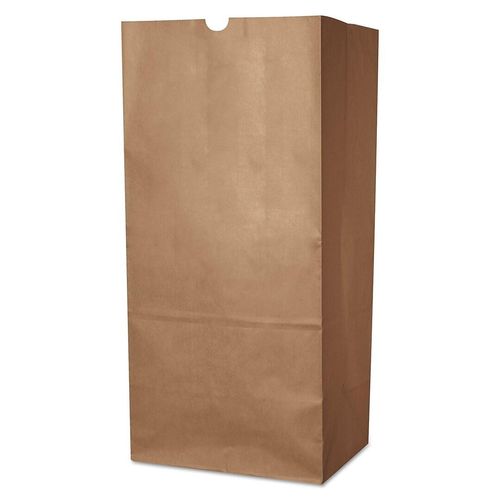 General Paper Lawn and Leaf Bag, 50lb Kraft, Wet-Strength, 50 Bags (J3873)  | Direct Supply