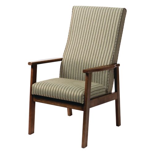 Tije-sp: Wooden Chair With Back Support
